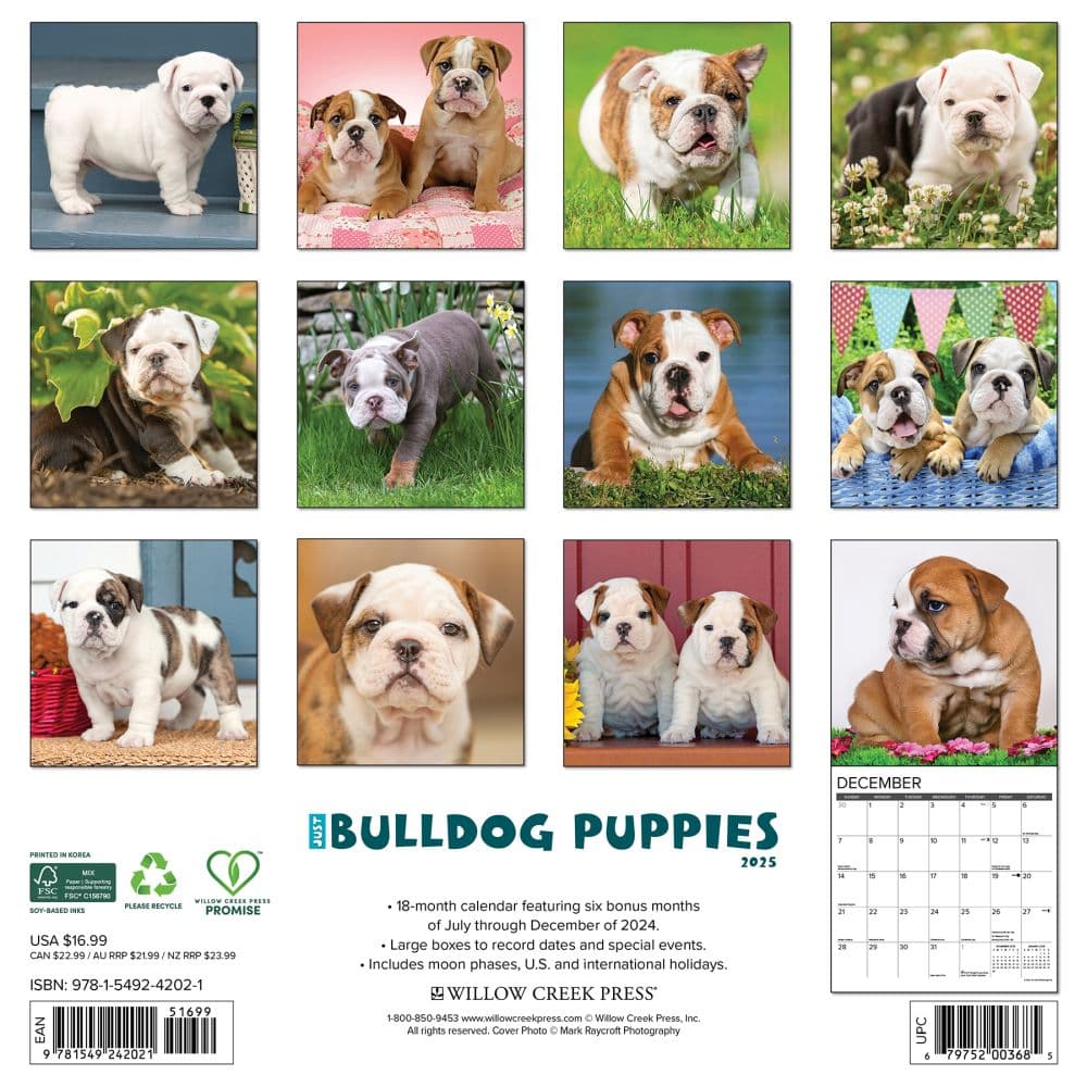 Just Bulldog Puppies 2025 Wall Calendar First Alternate Image width="1000" height="1000"