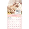 image Cat Shaming 2026 Wall Calendar Second Alternate Image