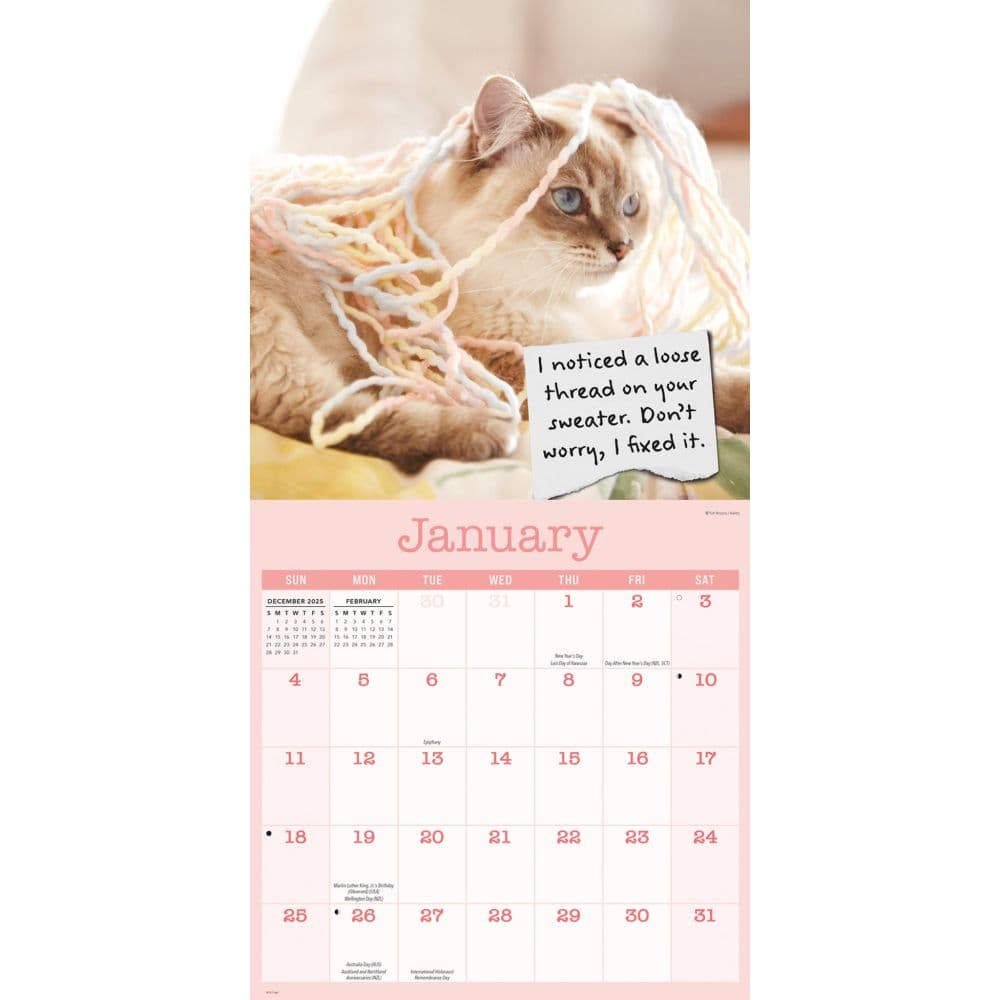 Cat Shaming 2026 Wall Calendar Second Alternate Image