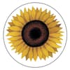 image Surrounded by Sunflowers 14-oz. Mug w/ Decorative Box by Lowell Herrero Second Alternate Image width=&quot;1000&quot; height=&quot;1000&quot;