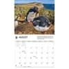 image Penguins WWF 2026 Wall Calendar Third Alternate Image
