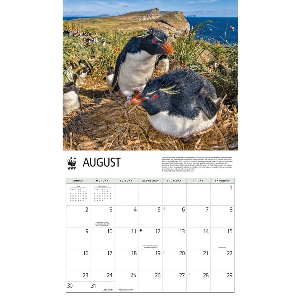 Penguins WWF 2026 Wall Calendar Third Alternate Image