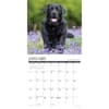 image What Labs Teach Us 2025 Wall Calendar