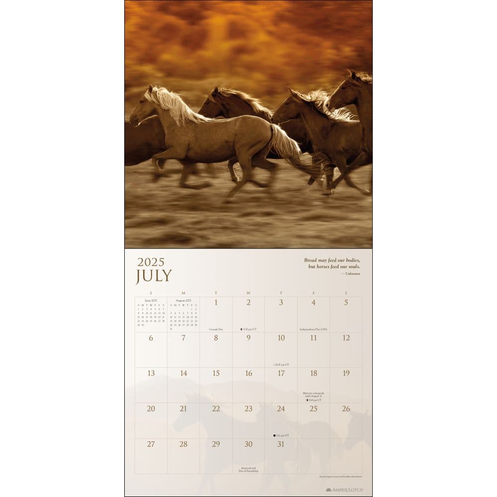Horses Spirit 2025 Wall Calendar