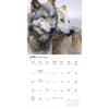 image Wolves Special Value 2026 Wall Calendar Third Alternate Image