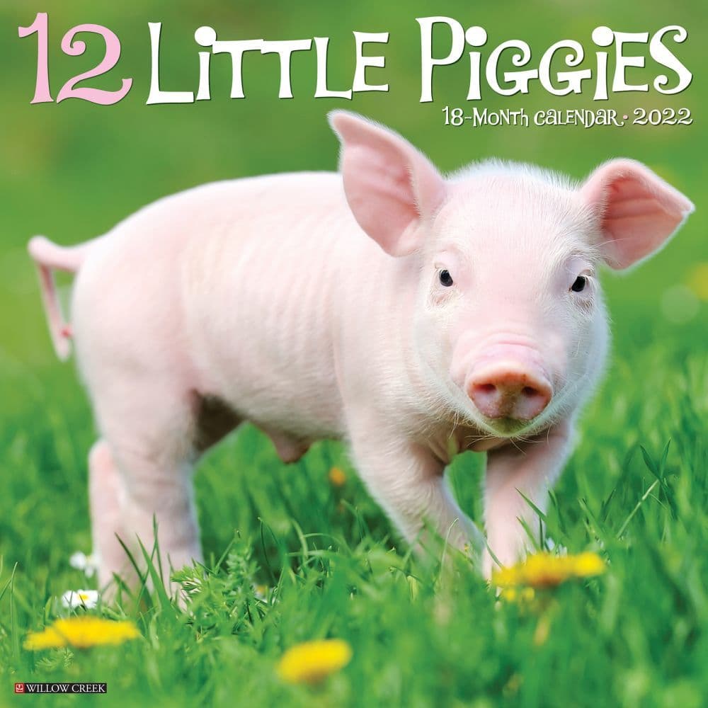 12 Little Piggies 2022 Wall Calendar