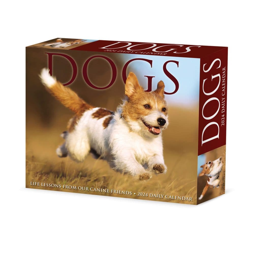 Dogs 2024 Desk Calendar Calendars Com   9358a8d7 D25e 4bea B7fb 748eb52ec511