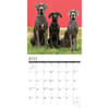image Just Great Danes 2026 Wall Calendar Second Alternate Image