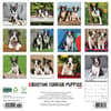 image Just Boston Terrier Puppies 2025 Wall Calendar