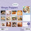 image Sleepy Puppies 2026 Wall Calendar First Alternate Image