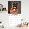 image Doggy Want A Treat 2025 Wall Calendar