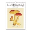 image Mushroom Poster 2025 Wall Calendar Main Image