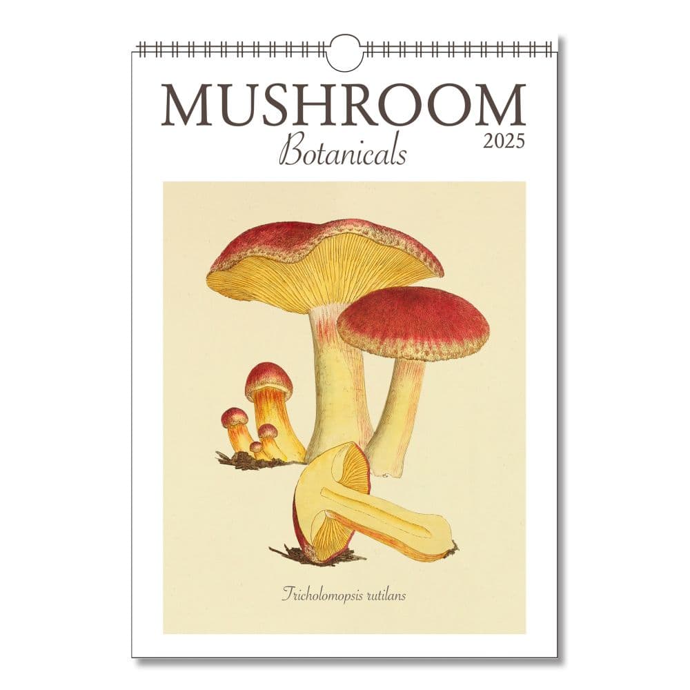 Mushroom Poster 2025 Wall Calendar Main Image