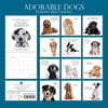 image Adorable Dogs 2024 Wall Calendar First Alternate Image width=&quot;1000&quot; height=&quot;1000&quot;