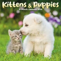 image Kittens and Puppies 2026 Mini Wall Calendar  Main Image