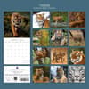 image Tigers 2026 Wall Calendar First Alternate Image
