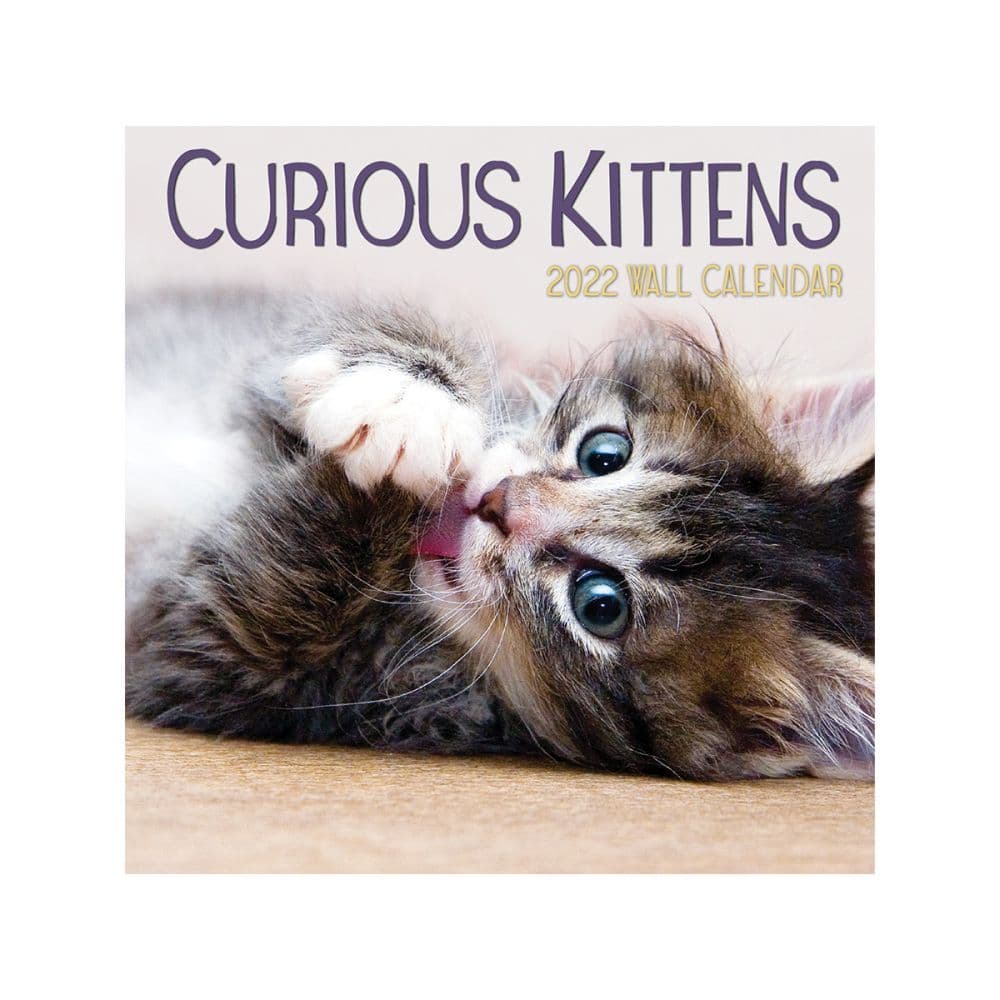 Curious Kittens 2022 Mini Wall Calendar