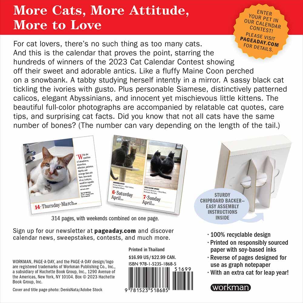 365 Cats 2025 PageADay Desk Calendar