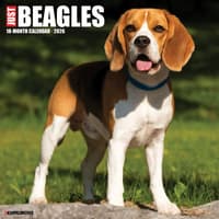 image Just Beagles 2026 Wall Calendar Main Image