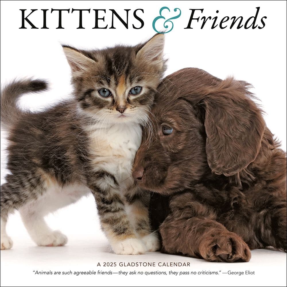 Kittens and Friends 2025 Wall Calendar Main Image