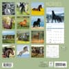 image Horses 2025 Wall Calendar First Alternate Image width=&quot;1000&quot; height=&quot;1000&quot;