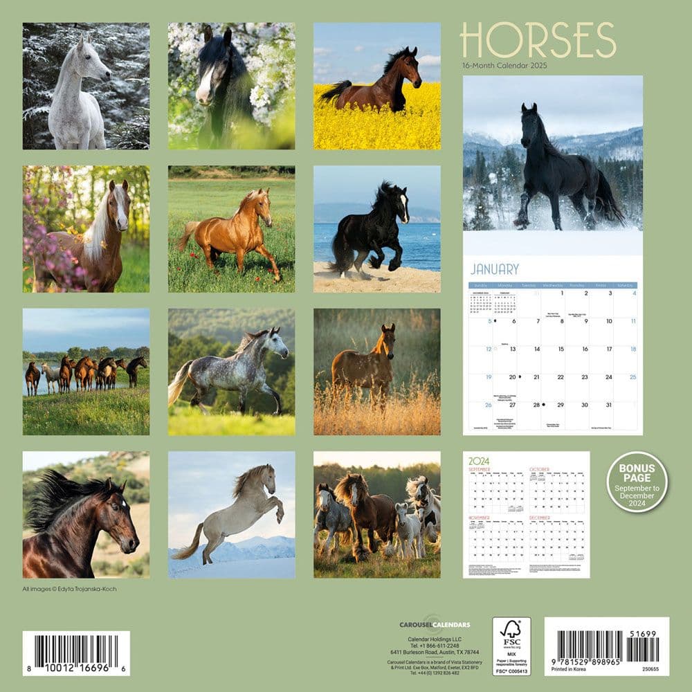 thumbnail image 2 of Rooster Calendar 2025 Horses 2026 Mini Wall Calendar Advent Calendar Dinosaurs 2 of 10