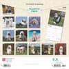 image Old English Sheepdogs 2025 Wall Calendar First Alternate Image width=&quot;1000&quot; height=&quot;1000&quot;