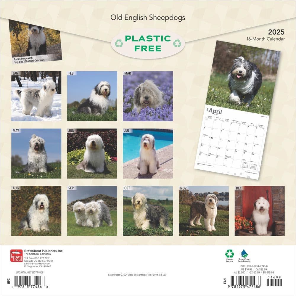 Old English Sheepdogs 2025 Wall Calendar First Alternate Image width=&quot;1000&quot; height=&quot;1000&quot;