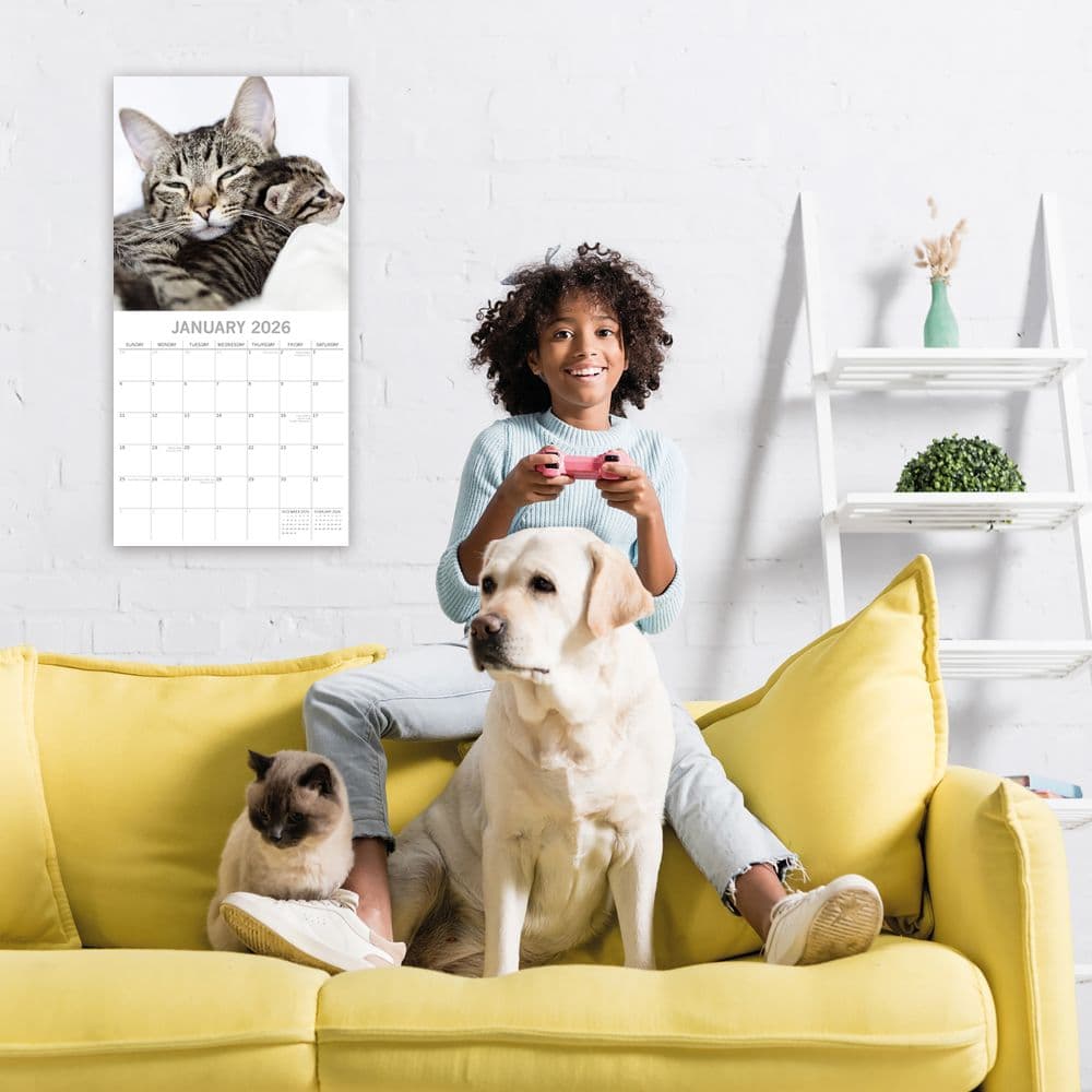 Cats and Kittens 2026 Wall Calendar Second Alternate Image