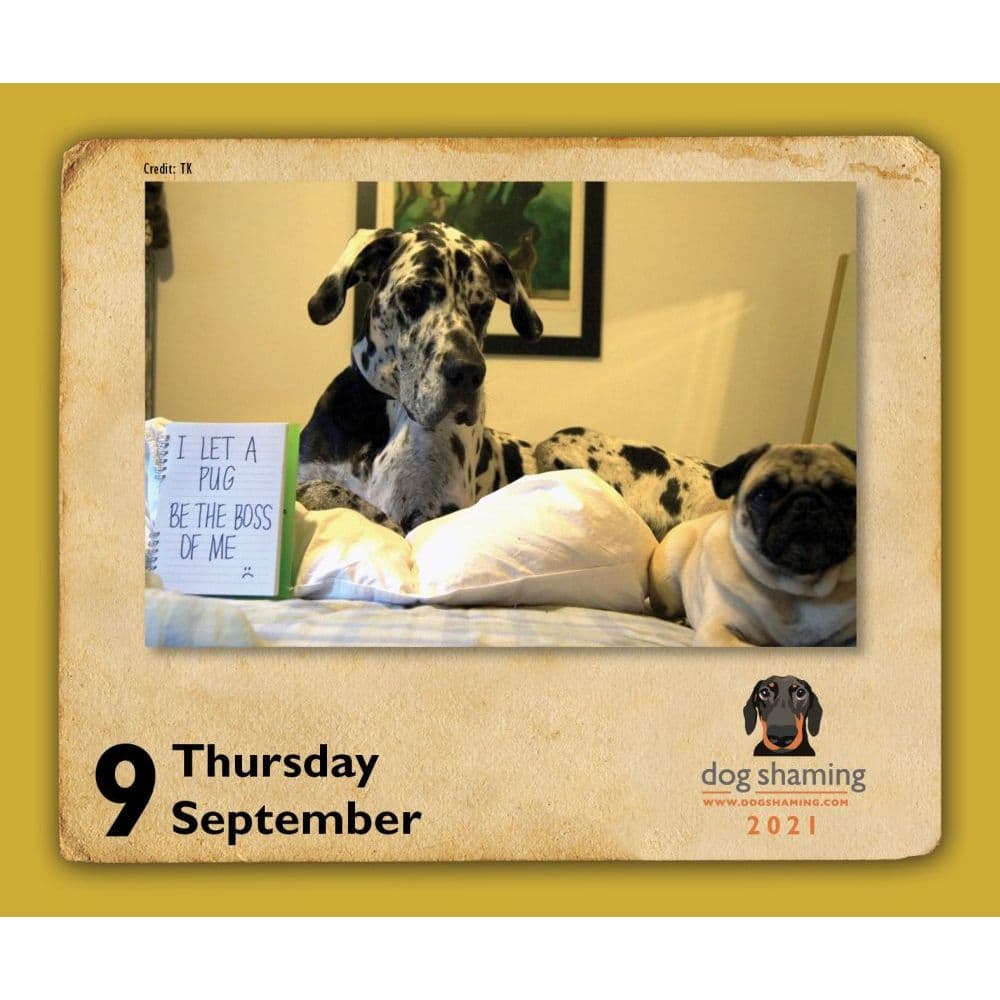 dog-shaming-desk-calendar-calendars