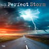 image Perfect Storm 2024 Wall Calendar Main Product Image width=&quot;1000&quot; height=&quot;1000&quot;