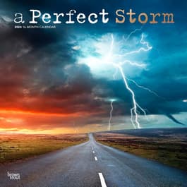 A Perfect Storm 2024 Wall Calendar