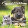 image Kittens And Puppies by Plato 2025 Wall Calendar Main Image