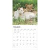 image Lions 2025 Wall Calendar Second Alternate Image