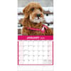 image All Mixed Up! 2024 Wall Calendar Second Alternate  Image width=&quot;1000&quot; height=&quot;1000&quot;