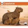 image WWF Capybaras 2027 Wall Calendar Main Image