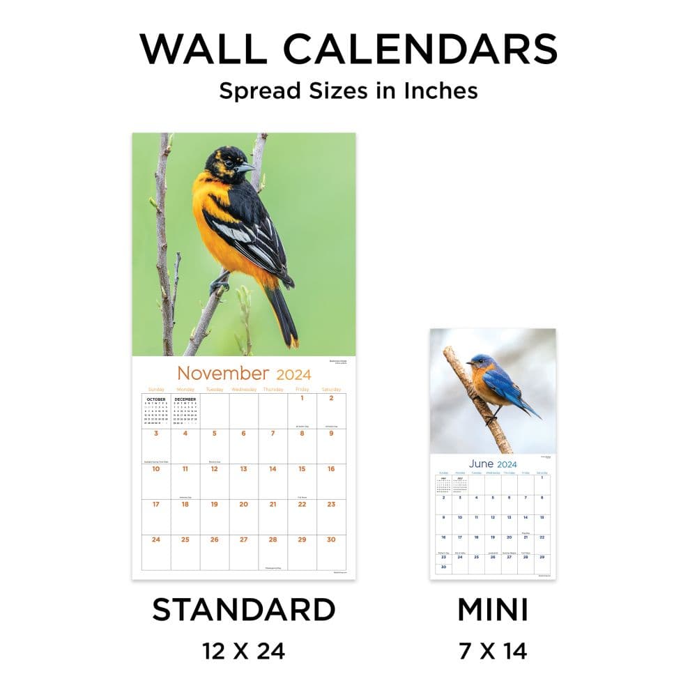 Backyard Birds 2024 Wall Calendar Fifth Alternate Image width="1000" height="1000"