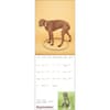 image Mans Best Friend by William Wegman 2026 Wall Calendar Fourth Alternate image