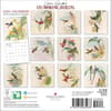 image Goulds Hummingbirds 2024 Mini Wall Calendar First Alternate Image width=&quot;1000&quot; height=&quot;1000&quot;
