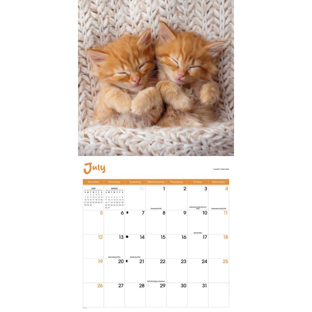 Cat Naps 2026 Wall Calendar Fourth Alternate Image