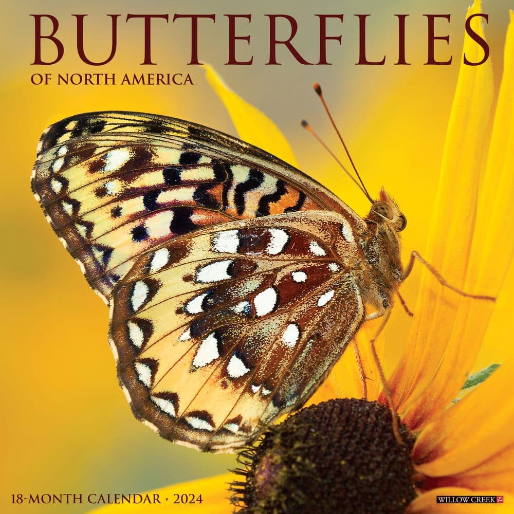 Butterflies 2024 Wall Calendar Main Image