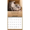 image Cat In A Box 2025 Wall Calendar Second Alternate Image width=&quot;1000&quot; height=&quot;1000&quot;