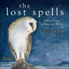 image Lost Spells 2026 Wall Calendar Main Image