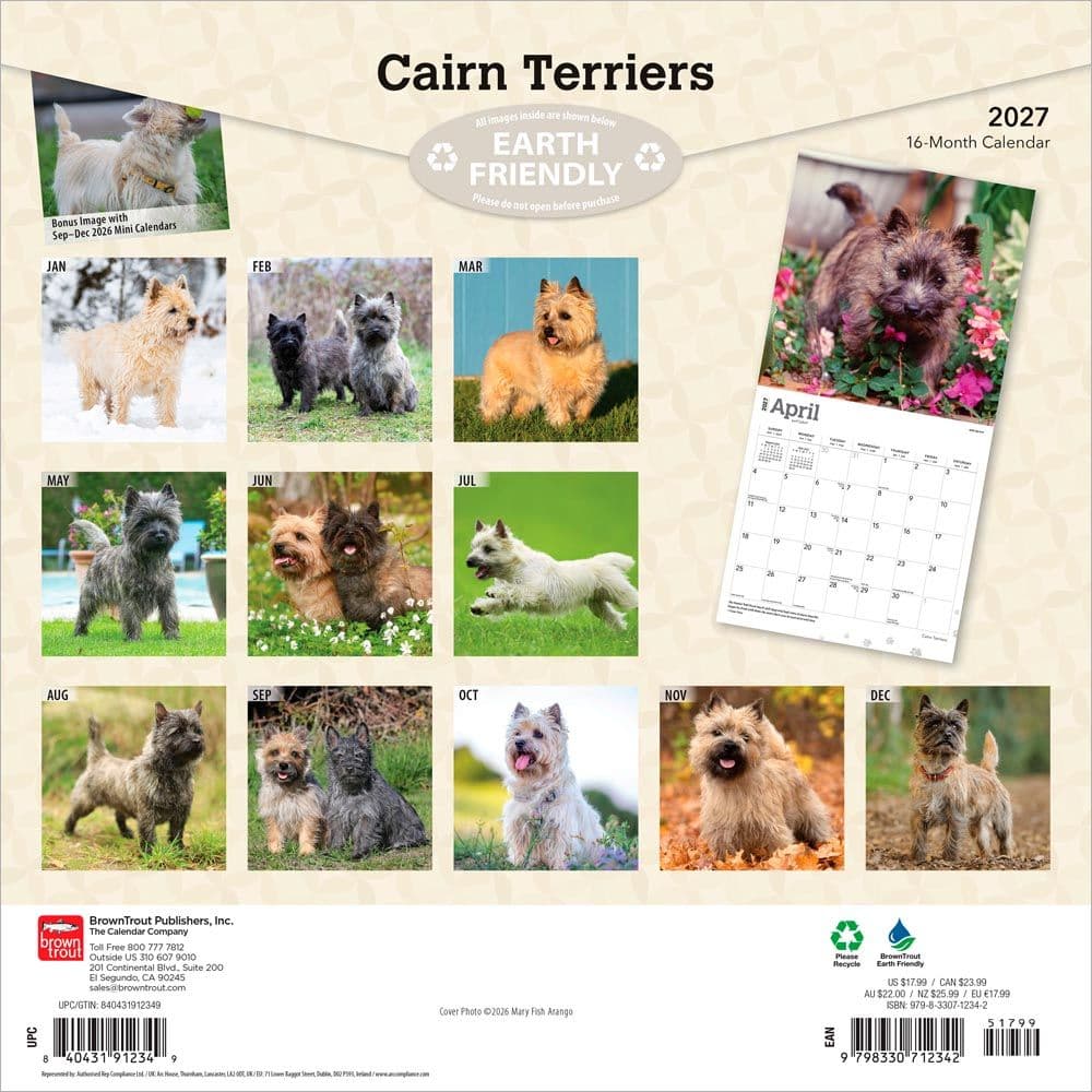 Cairn Terriers 2027 Wall Calendar First Alternate Image