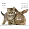 image Kittens &amp; Friends 2024 Desk Calendar Third Alternate Image width=&quot;1000&quot; height=&quot;1000&quot;