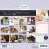 image Cat Shaming 2026 Wall Calendar First Alternate Image