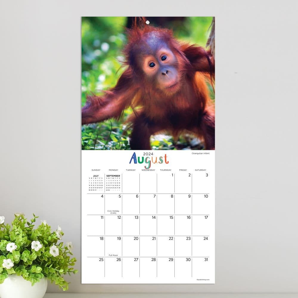 Baby Animals - Wildlife 2024 Mini Wall Calendar Third Alternate Image width=&quot;1000&quot; height=&quot;1000&quot;