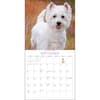 image Westies 2024 Wall Calendar Fourth Alternate Image width=&quot;1000&quot; height=&quot;1000&quot;