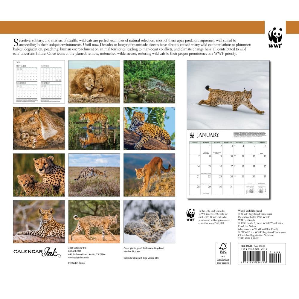 Wild Cats WWF 2024 Wall Calendar