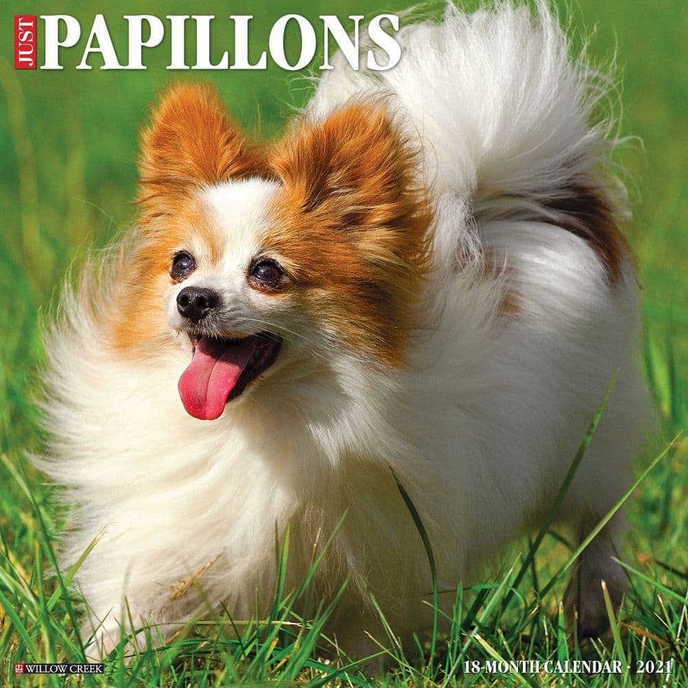 Just Papillons Wall Calendar
